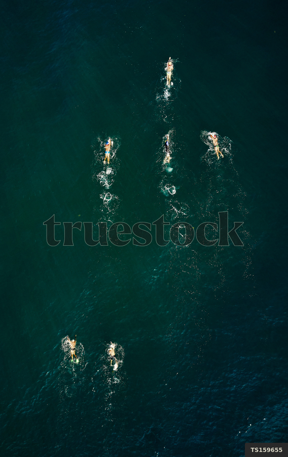TS159655 Aerial view of people swimming in sea by James Horan - Truestock