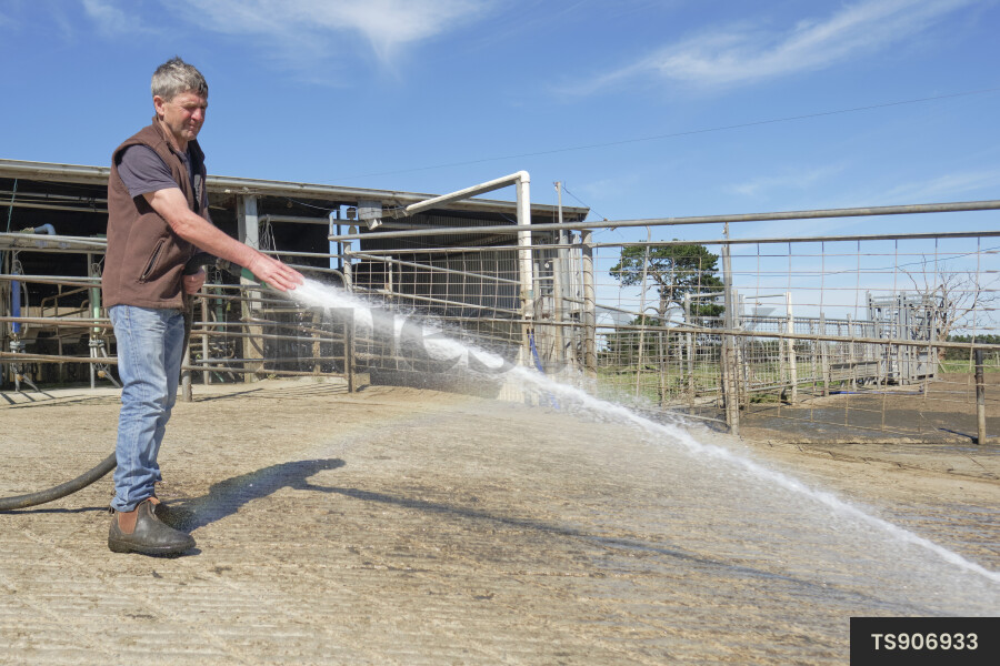 Farmer washing milking yard on farm