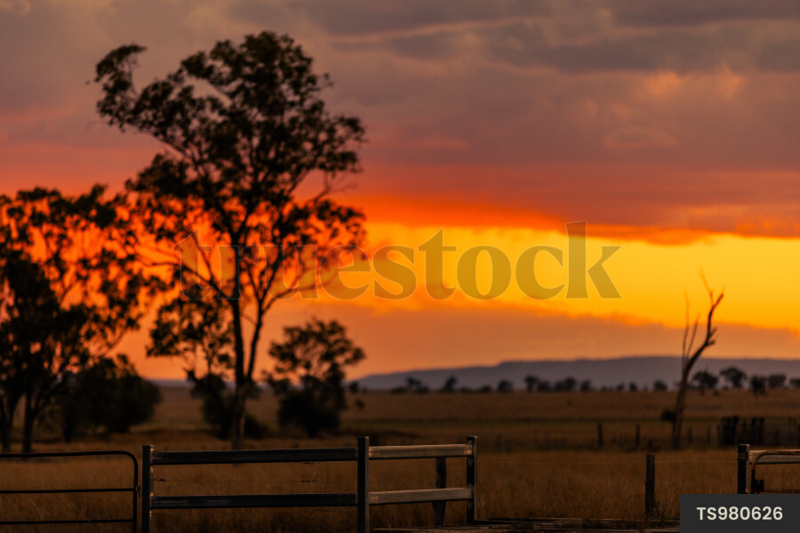 TS980626 Scenic rural landscape at sunset by Julia George - Truestock